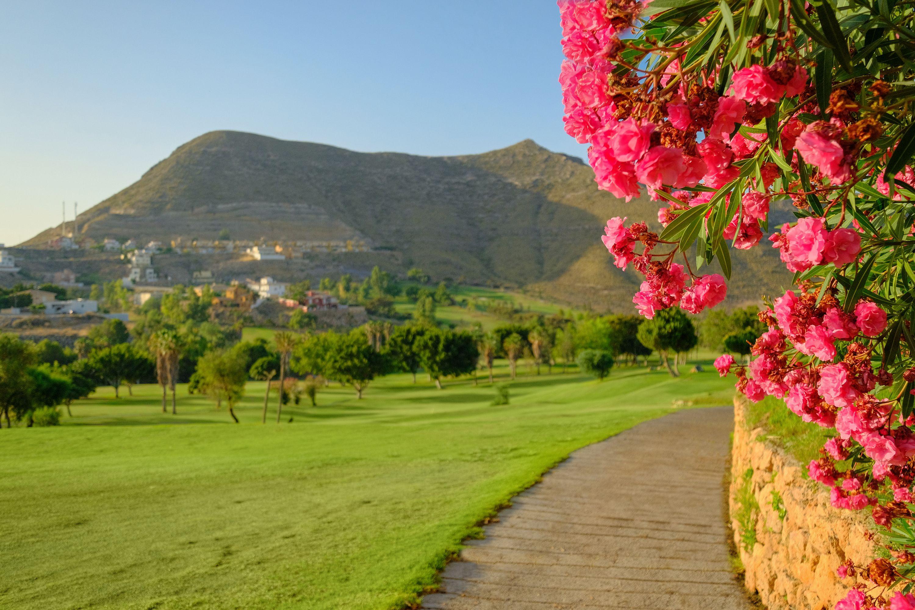 Hotel Envia Almeria Spa & Golf Агуадулсе Екстериор снимка View of the Sierra de Callosa